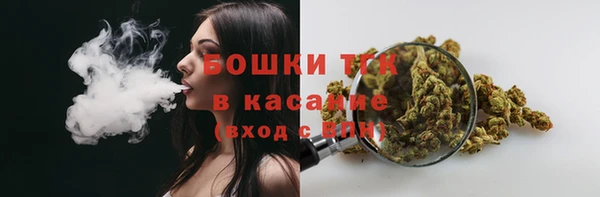 индика Богданович