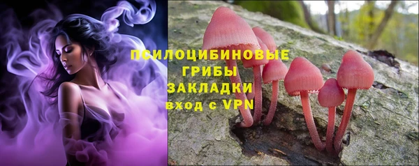 марки nbome Белокуриха