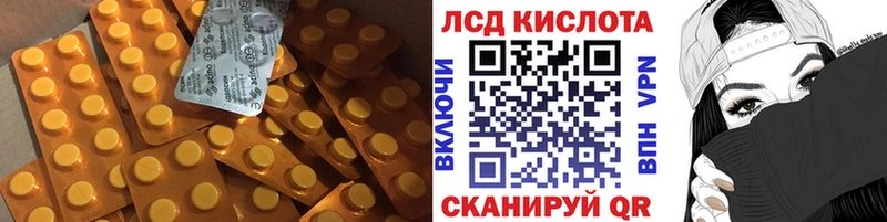 кракен ССЫЛКА  Нестеров  LSD-25 экстази кислота 